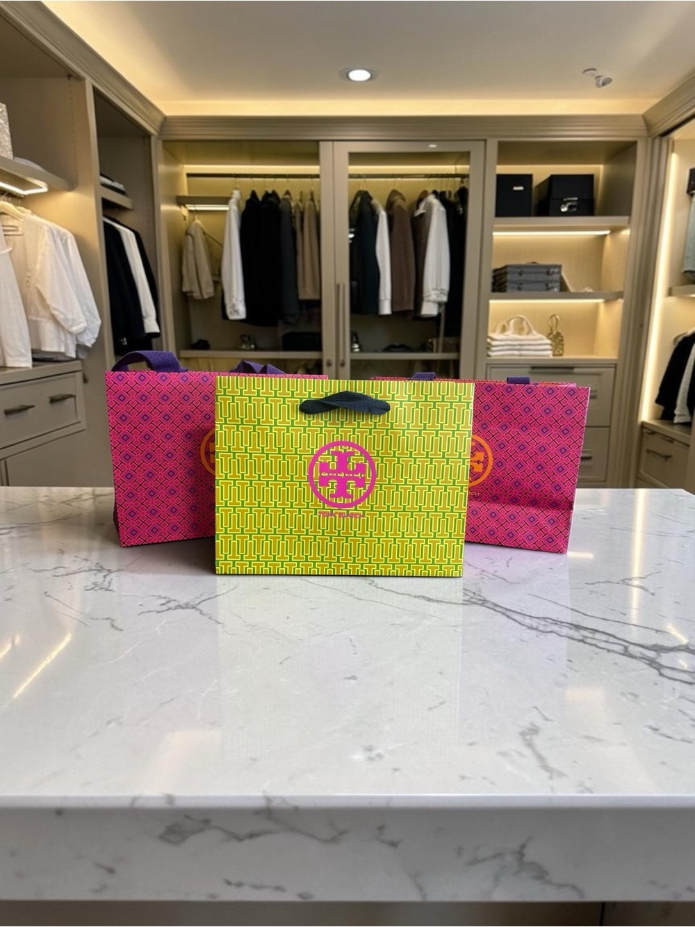 Vibrant Tory Burch Tote Shopping Bags Set with Logo